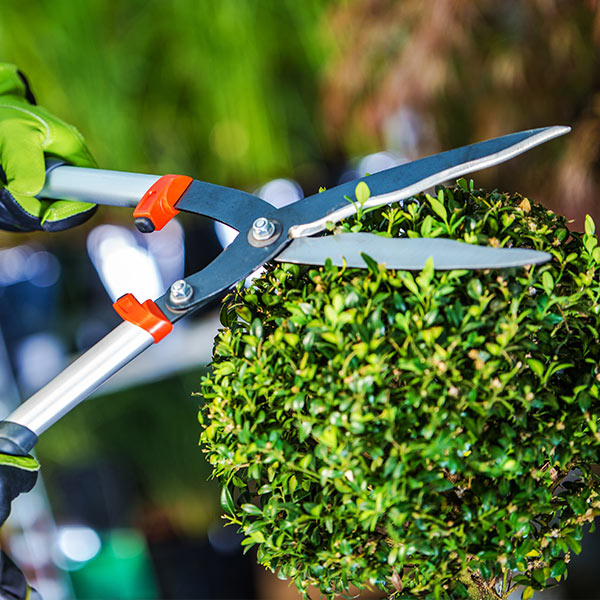 استيراد, تصدير, تجارة دولية, شحن, جمارك, بضائع, خدمات لوجستية, شحن بحري, شحن جوي, شحن بري, استيراد بضائع, تصدير منتجات, موانئ, حاويات, توكيلات تجارية, القاهرة, شركات الشحن