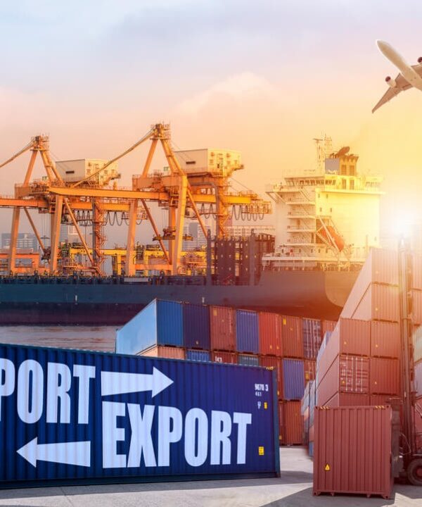 شركات توريدات عمومية في مصر, أفضل شركات التوريدات العمومية في مصر, شركة توريدات موثوقة في مصر, شركات توريدات معتمدة في مصر, شركات توريدات بالجملة في مصر, شركات توريدات متنوعة في مصر, شركات توريدات بأسعار تنافسية في مصر, شركات توريدات لجميع القطاعات في مصر, شركات توريدات سريعة في مصر, شركات توريدات شاملة في مصر, شركات توريدات متخصصة في مصر, شركات توريدات كبرى في مصر, شركات توريدات متميزة في مصر, شركات توريدات موثوق بها في مصر, شركات توريدات رائدة في مصر, شركات توريدات مضمونة في مصر, شركات توريدات احترافية في مصر, شركات توريدات عمومية في مصر