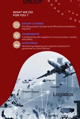 Export company in Egypt providing international shipping and customs clearance services.