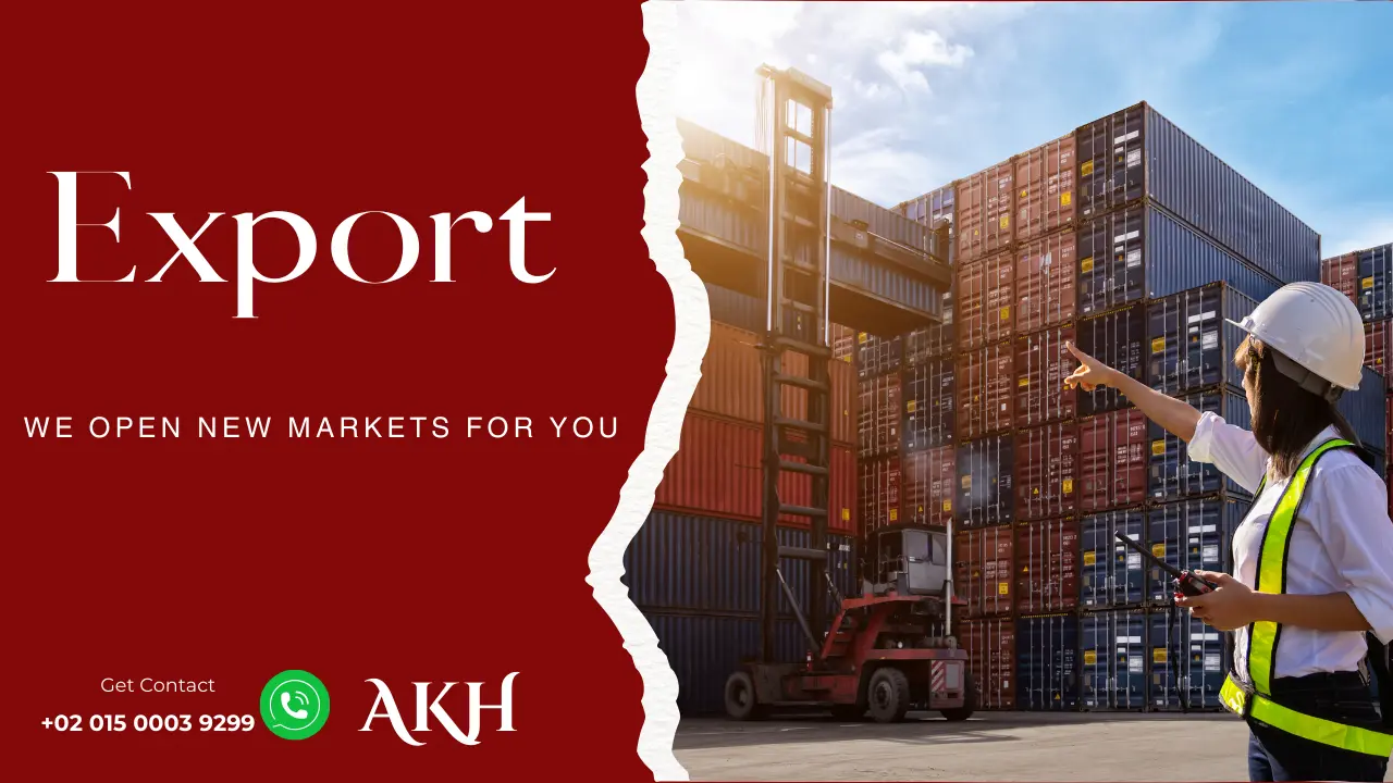 Professional Export service to facilitate shipping products to Arab countries