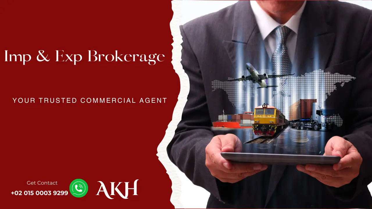 Professional Import & Export services for others, facilitating trade between companies across Arab countries