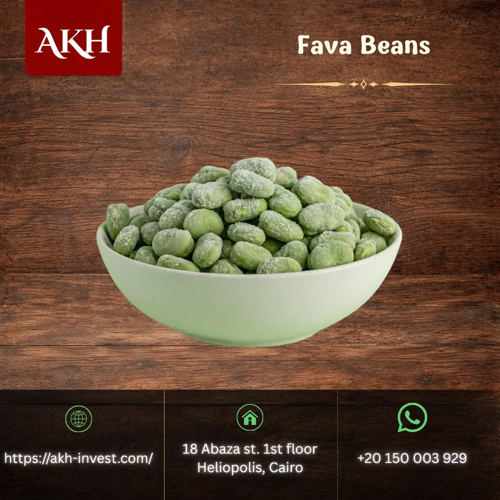 Fava Beans